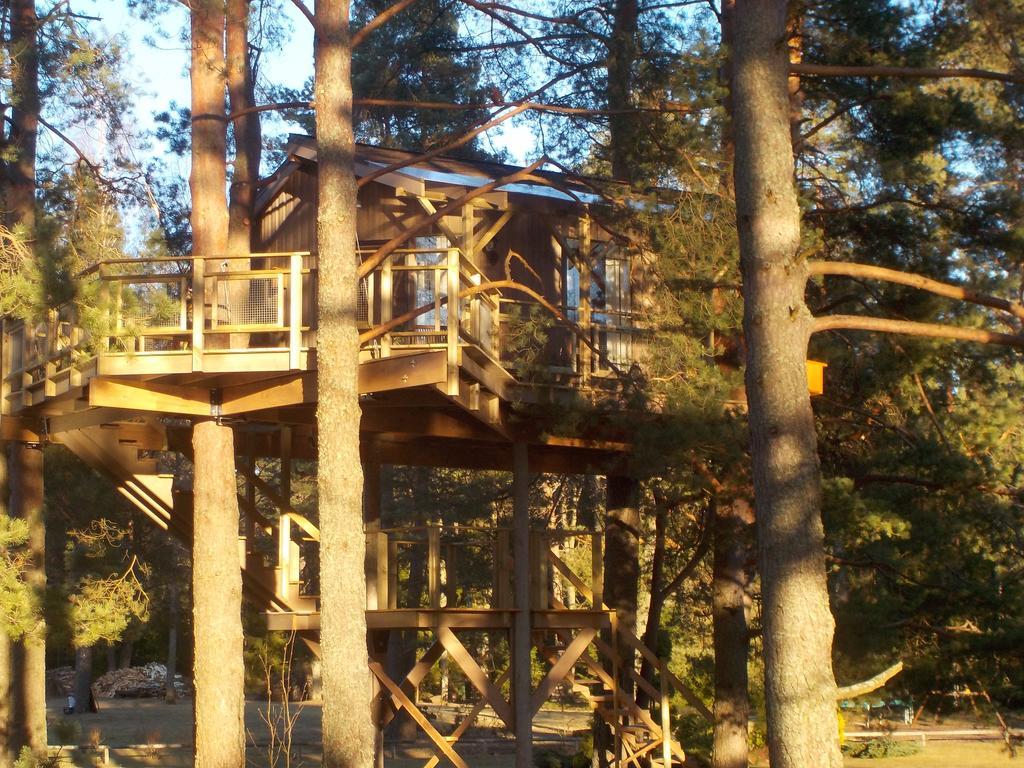 Treehouse Ciekurs Villa Dukuri Exterior photo